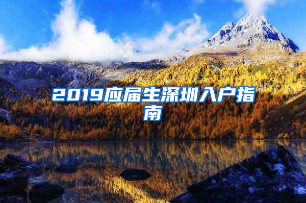 2019应届生深圳入户指南