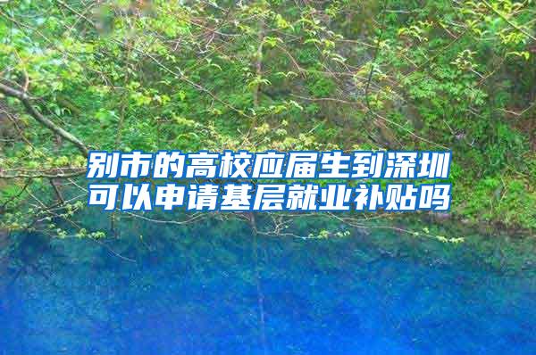 别市的高校应届生到深圳可以申请基层就业补贴吗