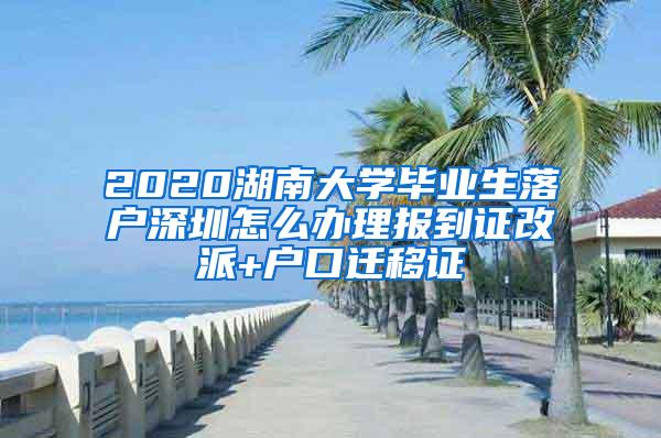 2020湖南大学毕业生落户深圳怎么办理报到证改派+户口迁移证