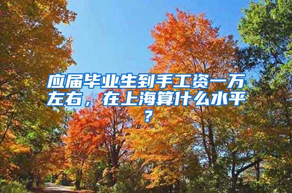 应届毕业生到手工资一万左右，在上海算什么水平？