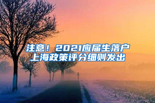 注意！2021应届生落户上海政策评分细则发出