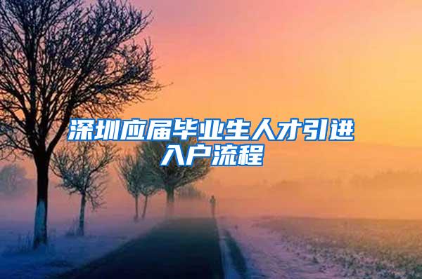 深圳应届毕业生人才引进入户流程