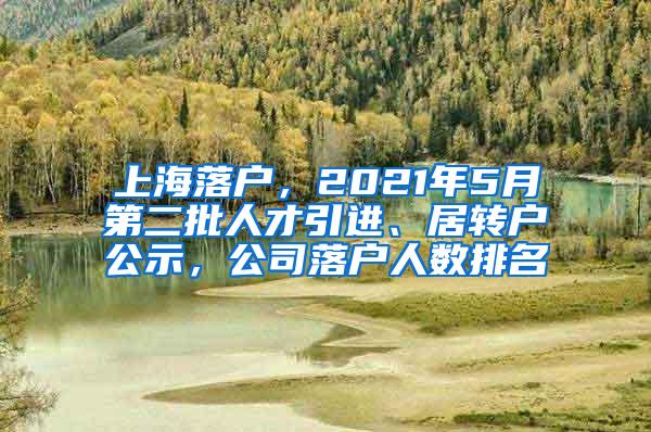 上海落户，2021年5月第二批人才引进、居转户公示，公司落户人数排名