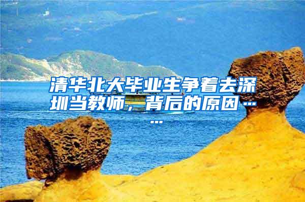 清华北大毕业生争着去深圳当教师，背后的原因……