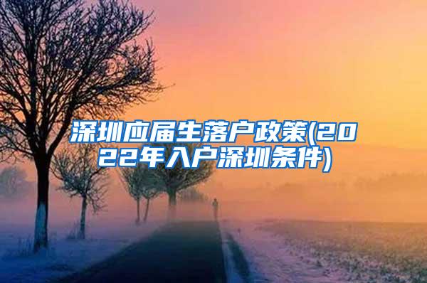 深圳应届生落户政策(2022年入户深圳条件)