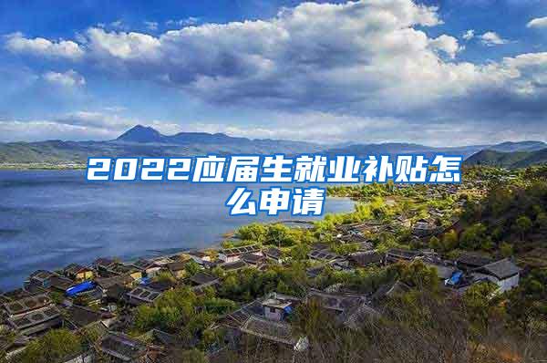 2022应届生就业补贴怎么申请