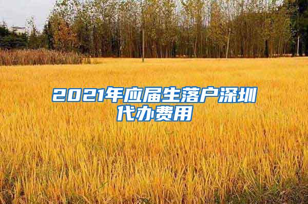 2021年应届生落户深圳代办费用