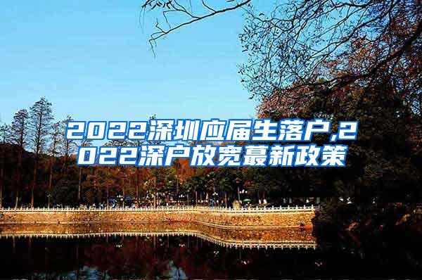 2022深圳应届生落户,2022深户放宽蕞新政策