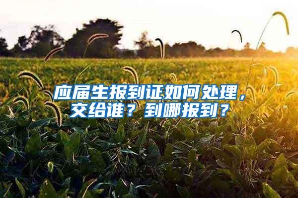 应届生报到证如何处理，交给谁？到哪报到？