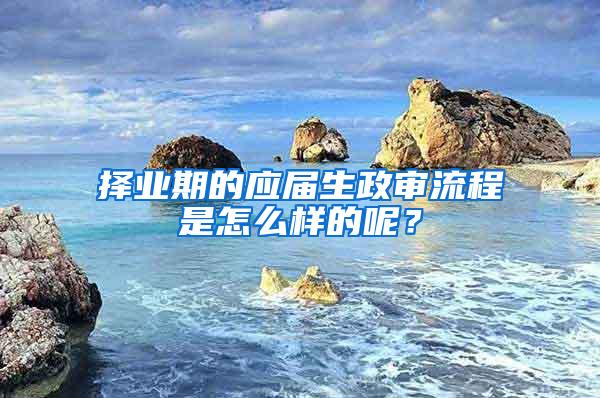 择业期的应届生政审流程是怎么样的呢？