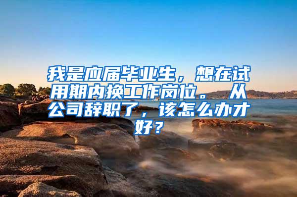 我是应届毕业生，想在试用期内换工作岗位。 从公司辞职了，该怎么办才好？