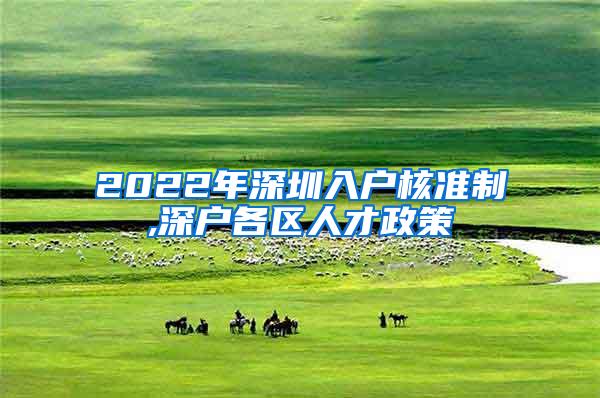 2022年深圳入户核准制,深户各区人才政策