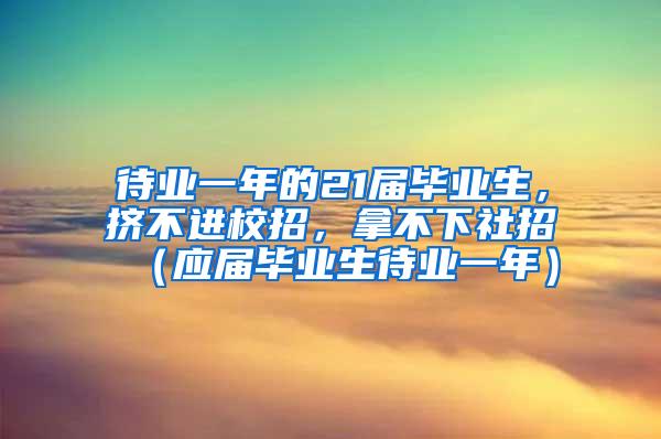 待业一年的21届毕业生，挤不进校招，拿不下社招（应届毕业生待业一年）