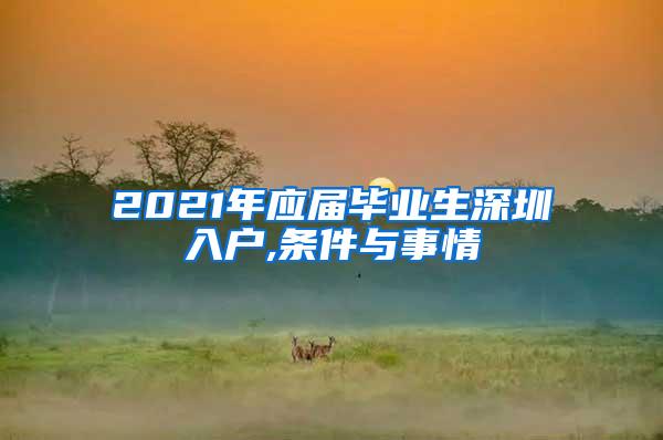 2021年应届毕业生深圳入户,条件与事情