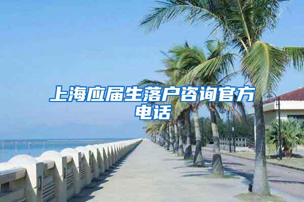 上海应届生落户咨询官方电话