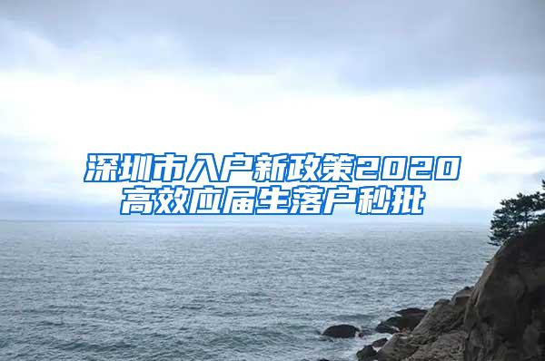 深圳市入户新政策2020高效应届生落户秒批