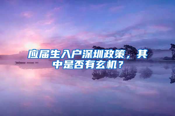 应届生入户深圳政策，其中是否有玄机？