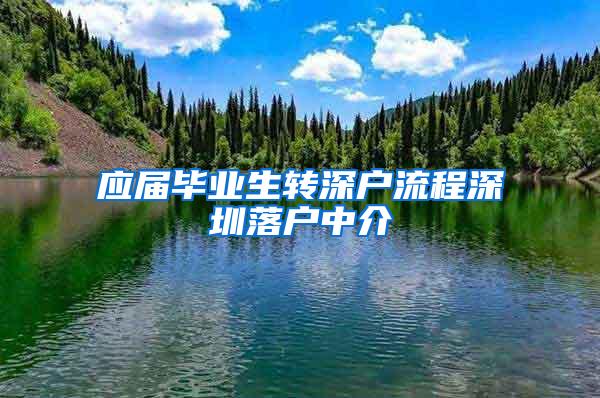 应届毕业生转深户流程深圳落户中介