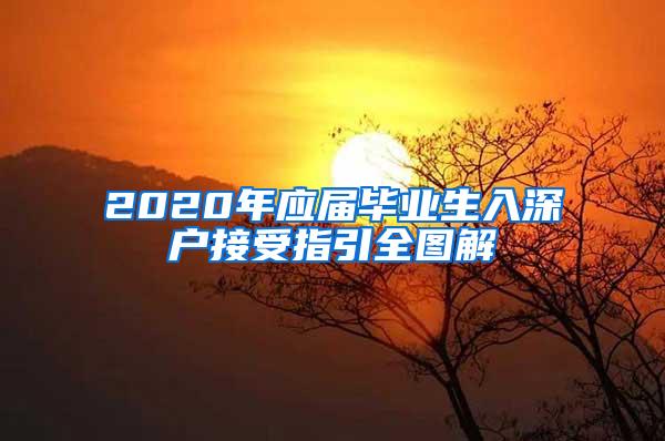 2020年应届毕业生入深户接受指引全图解