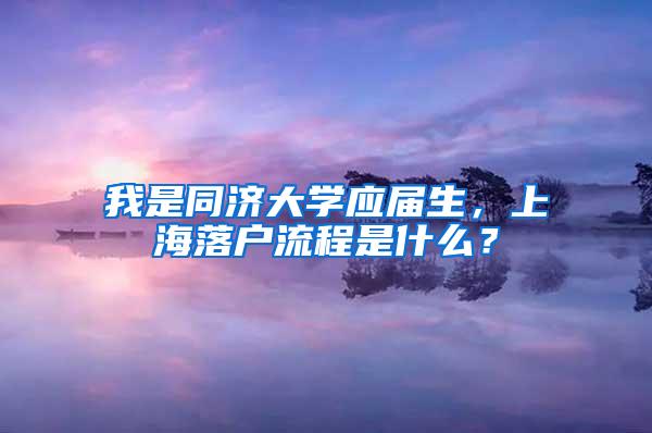 我是同济大学应届生，上海落户流程是什么？