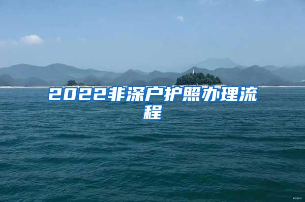 2022非深户护照办理流程