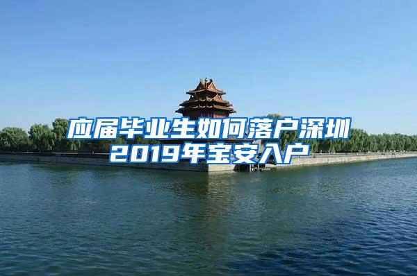 应届毕业生如何落户深圳2019年宝安入户