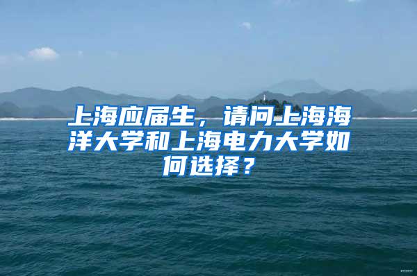 上海应届生，请问上海海洋大学和上海电力大学如何选择？