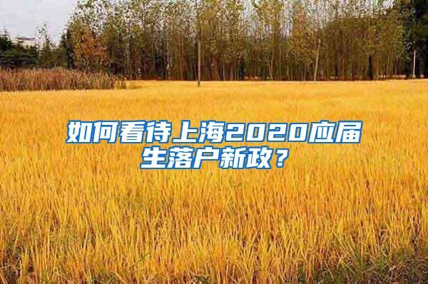 如何看待上海2020应届生落户新政？