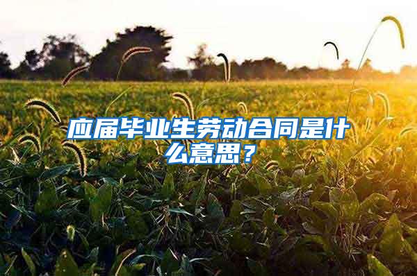 应届毕业生劳动合同是什么意思？