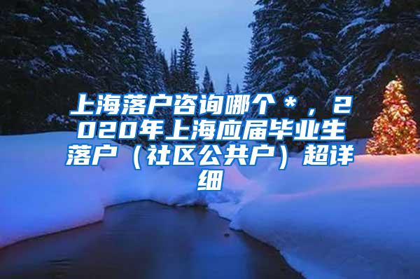 上海落户咨询哪个＊，2020年上海应届毕业生落户（社区公共户）超详细