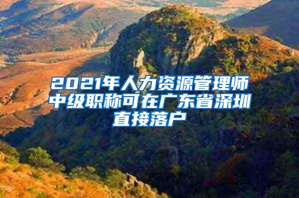 2021年人力资源管理师中级职称可在广东省深圳直接落户