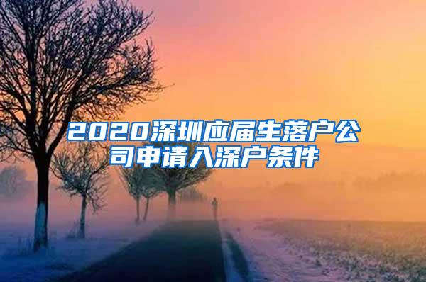 2020深圳应届生落户公司申请入深户条件