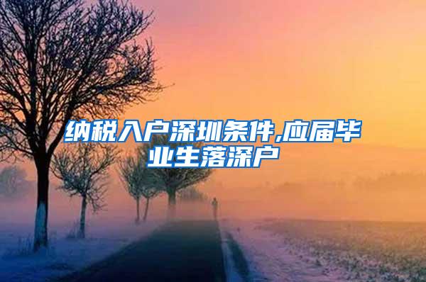 纳税入户深圳条件,应届毕业生落深户