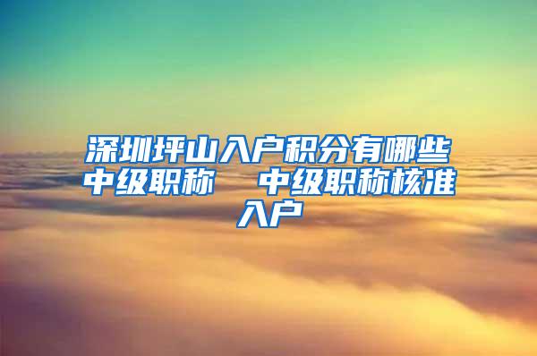 深圳坪山入户积分有哪些中级职称  中级职称核准入户