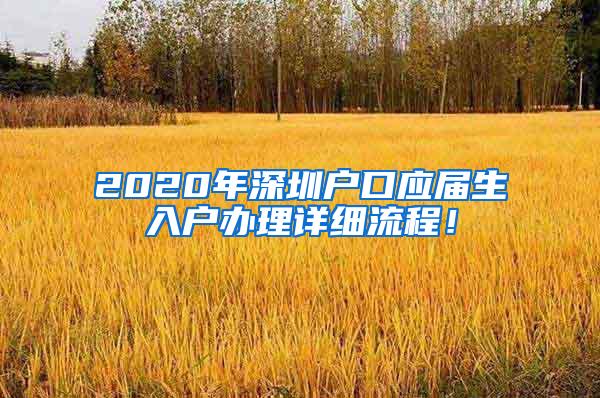 2020年深圳户口应届生入户办理详细流程！