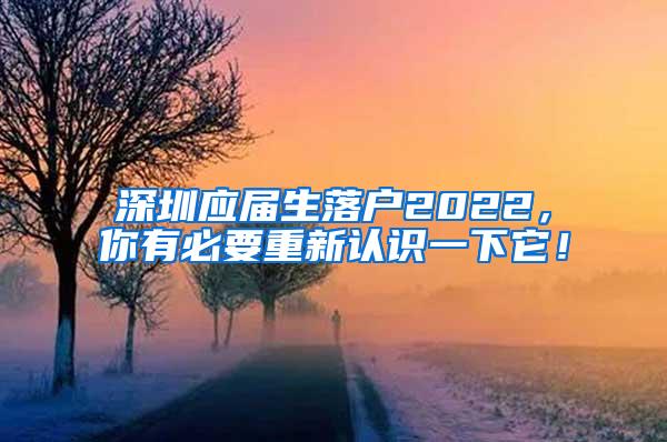 深圳应届生落户2022，你有必要重新认识一下它！