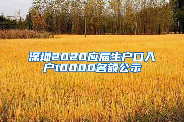 深圳2020应届生户口入户10000名额公示