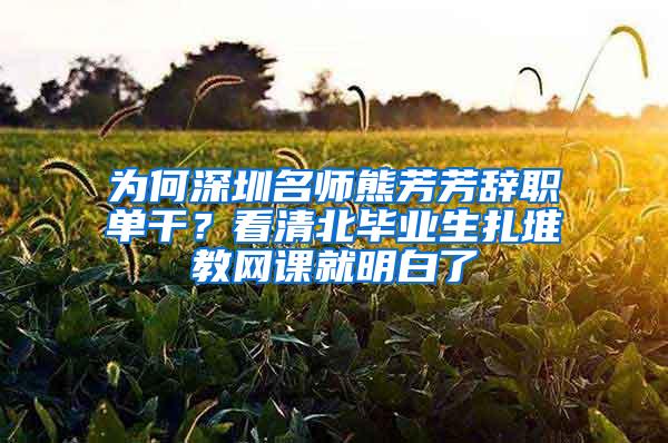 为何深圳名师熊芳芳辞职单干？看清北毕业生扎堆教网课就明白了