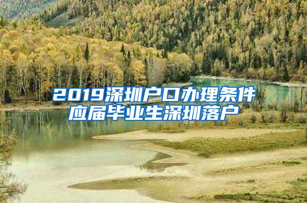 2019深圳户口办理条件应届毕业生深圳落户