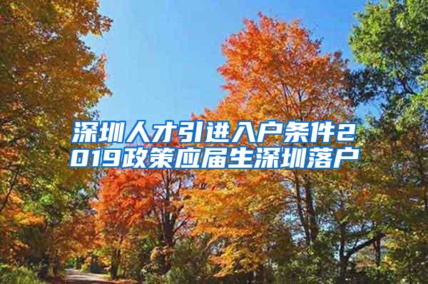 深圳人才引进入户条件2019政策应届生深圳落户