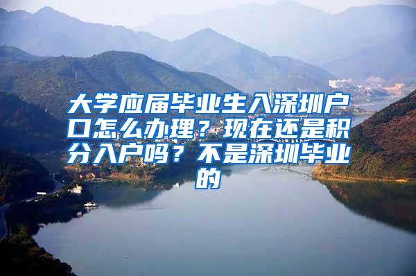 大学应届毕业生入深圳户口怎么办理？现在还是积分入户吗？不是深圳毕业的