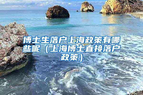 博士生落户上海政策有哪些呢（上海博士直接落户政策）