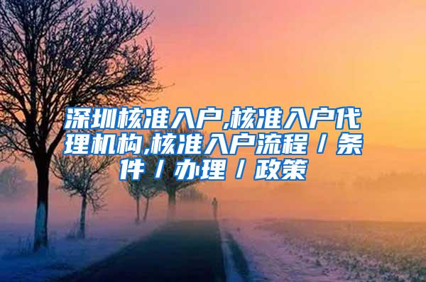 深圳核准入户,核准入户代理机构,核准入户流程／条件／办理／政策