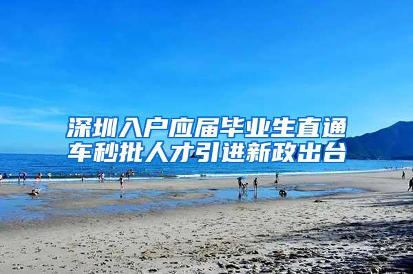 深圳入户应届毕业生直通车秒批人才引进新政出台