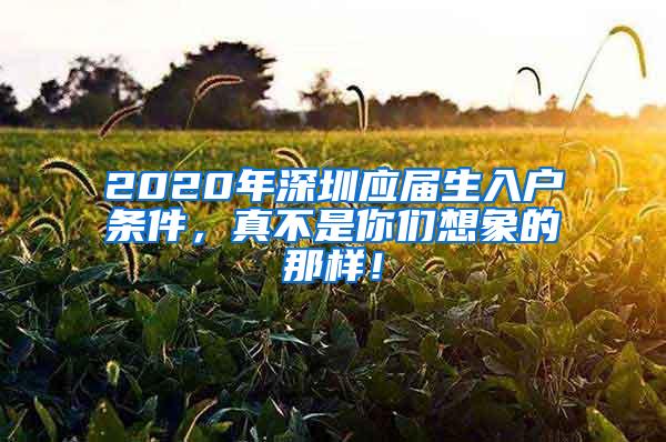 2020年深圳应届生入户条件，真不是你们想象的那样！