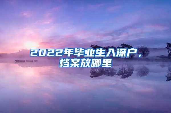 2022年毕业生入深户，档案放哪里