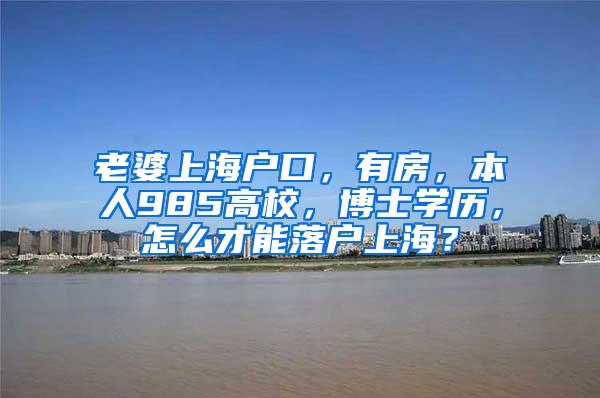 老婆上海户口，有房，本人985高校，博士学历，怎么才能落户上海？