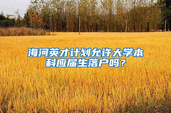 海河英才计划允许大学本科应届生落户吗？