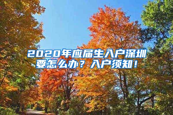 2020年应届生入户深圳要怎么办？入户须知！