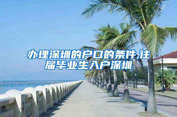 办理深圳的户口的条件,往届毕业生入户深圳